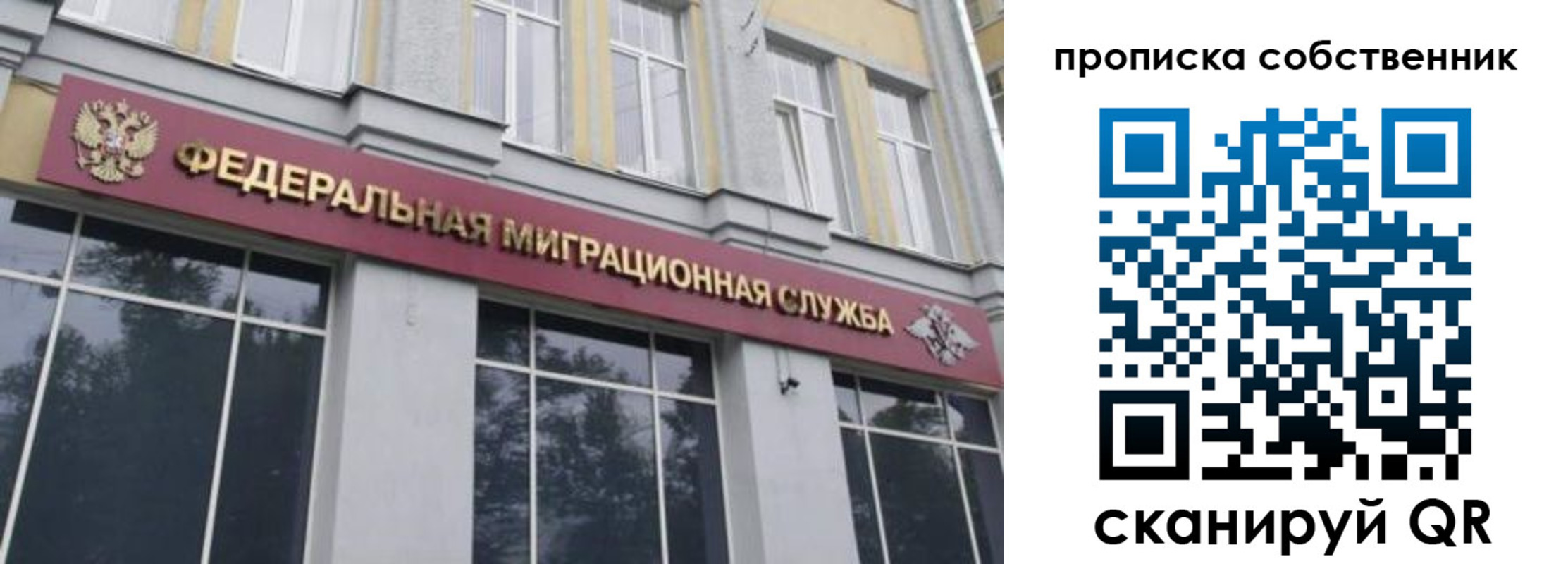 прописка паспорт в Бородино